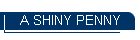 A SHINY PENNY